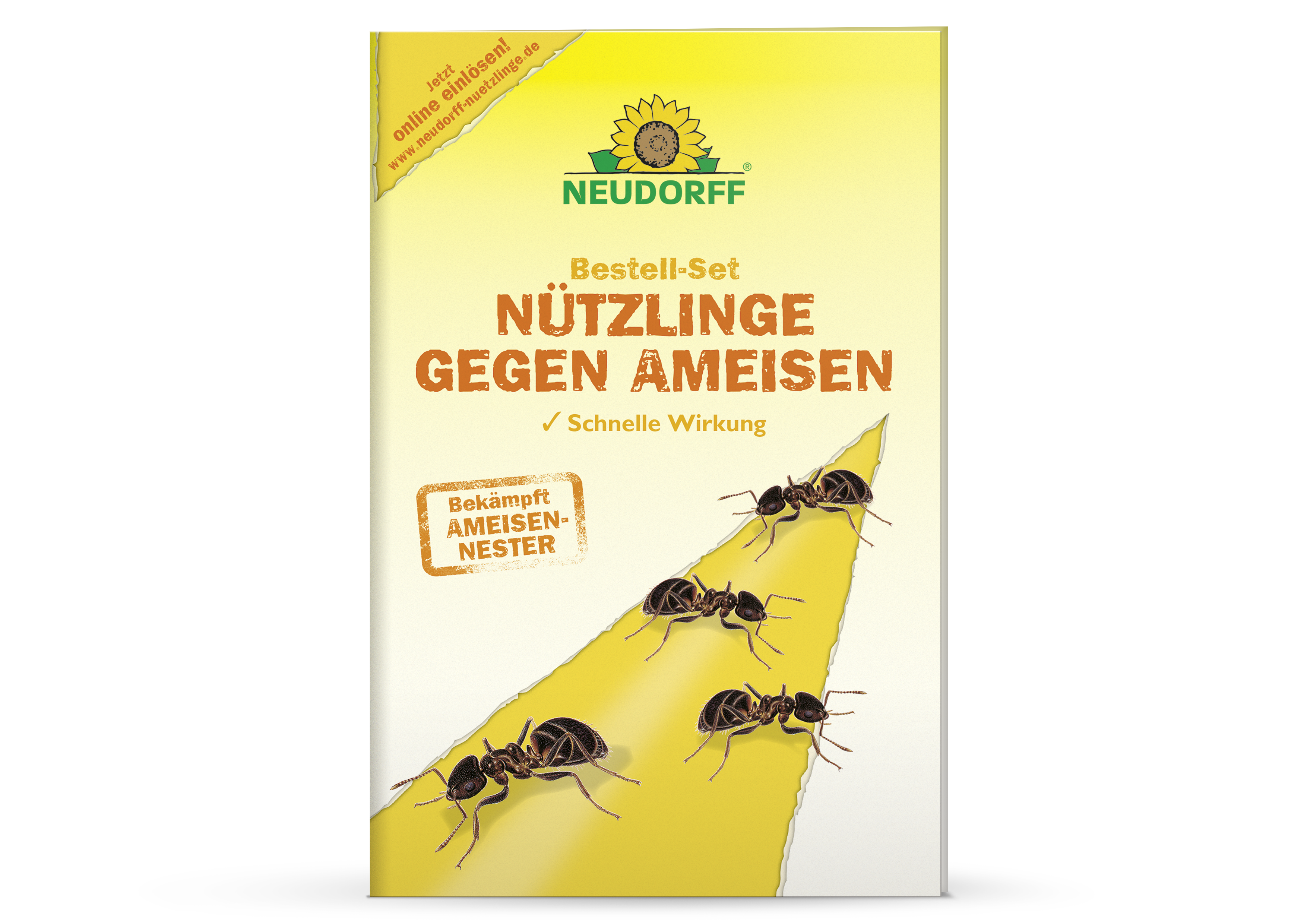 Neudorff Bestell-Set Nützlinge gegen Ameisen