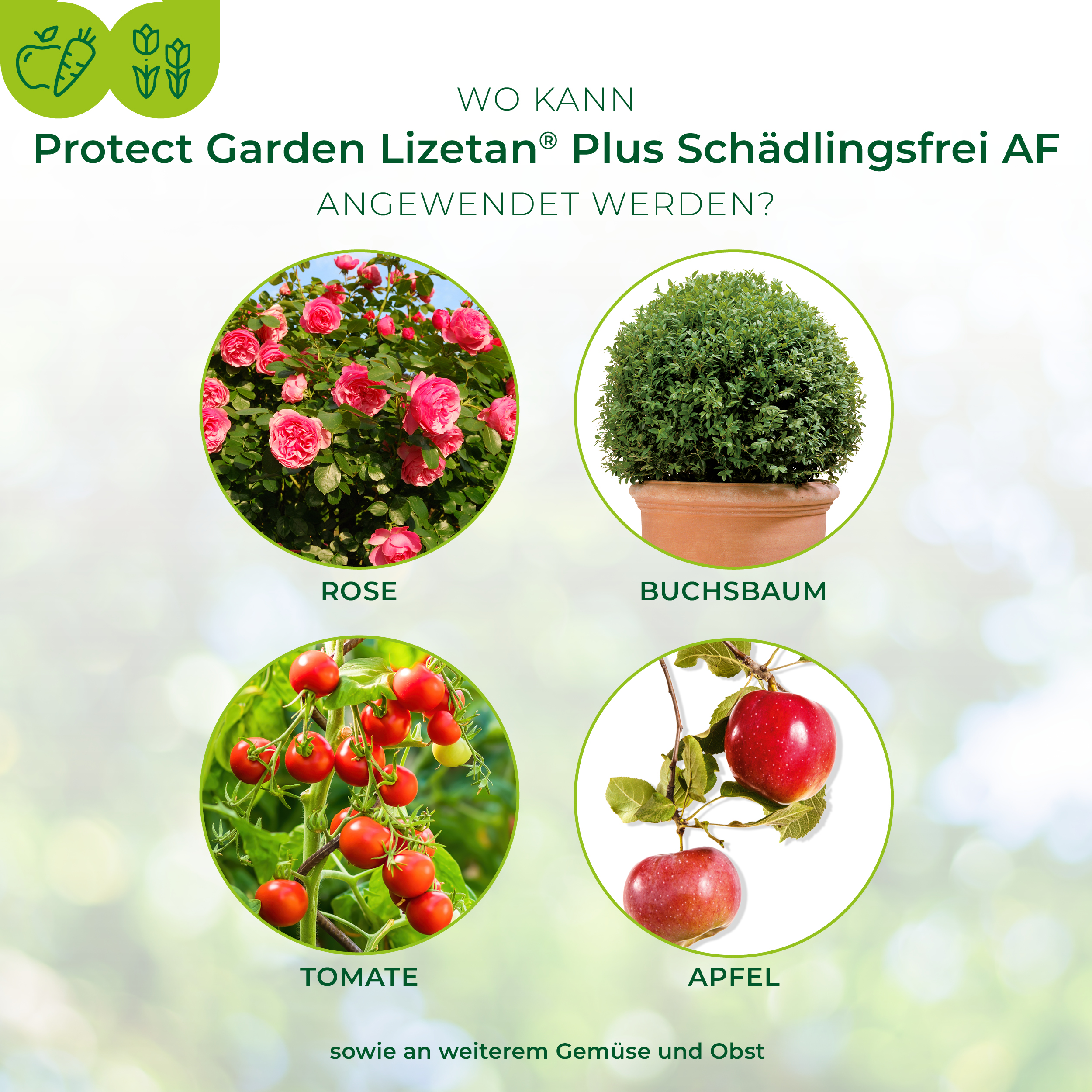 Protect Garden Lizetan Plus Schädlingsfrei AF 3 l