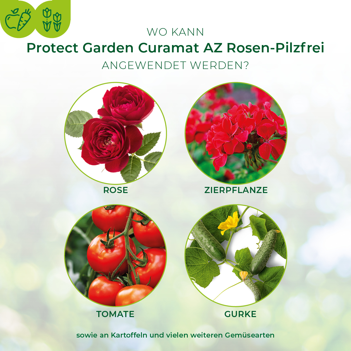 Protect Garden Curamat AZ Rosen-Pilzfrei 2 x 4 ml