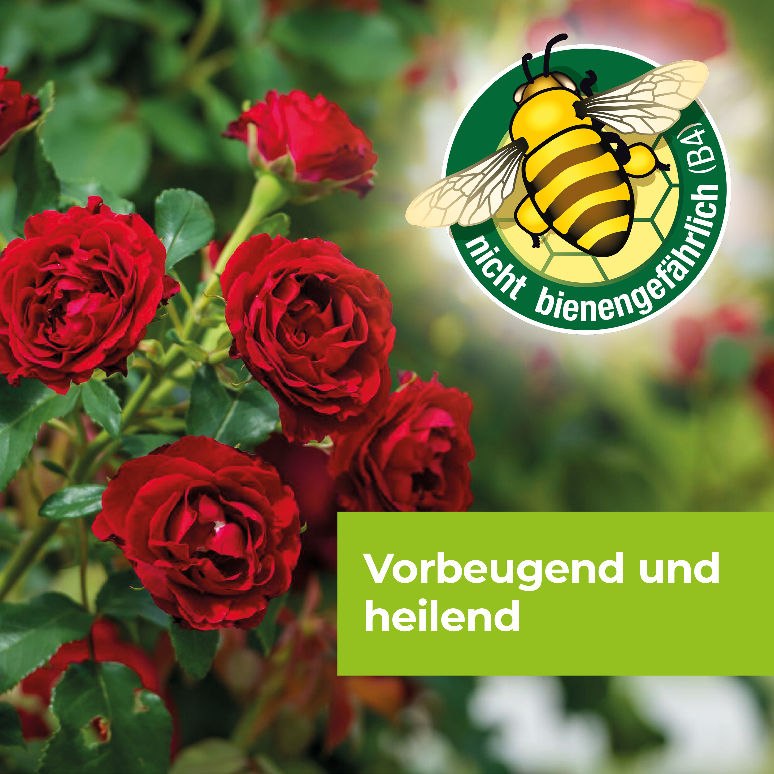 Protect Garden Curamat AZ Rosen-Pilzfrei 2 x 4 ml