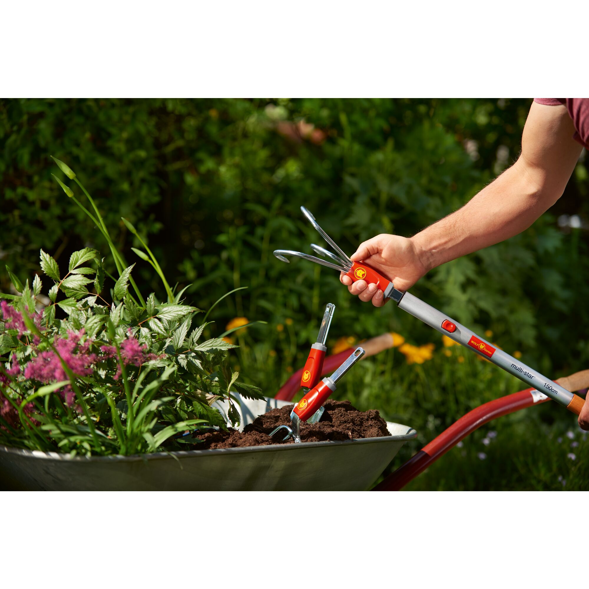 Wolf-Garten multi-star® Grubber BA-M