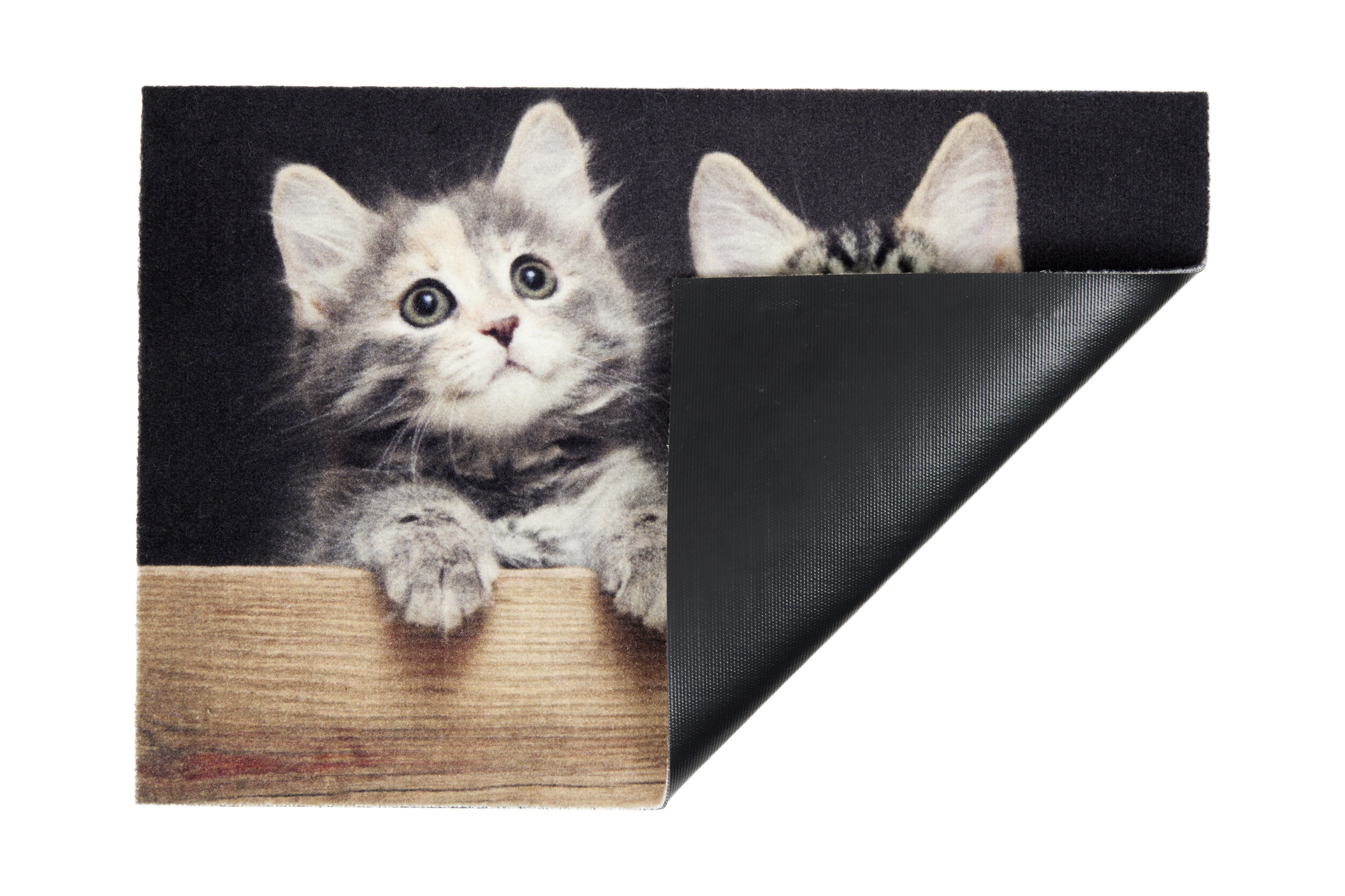 Astra Deco Print ca. 40x60cm D.108 C.999 Katzen Holz