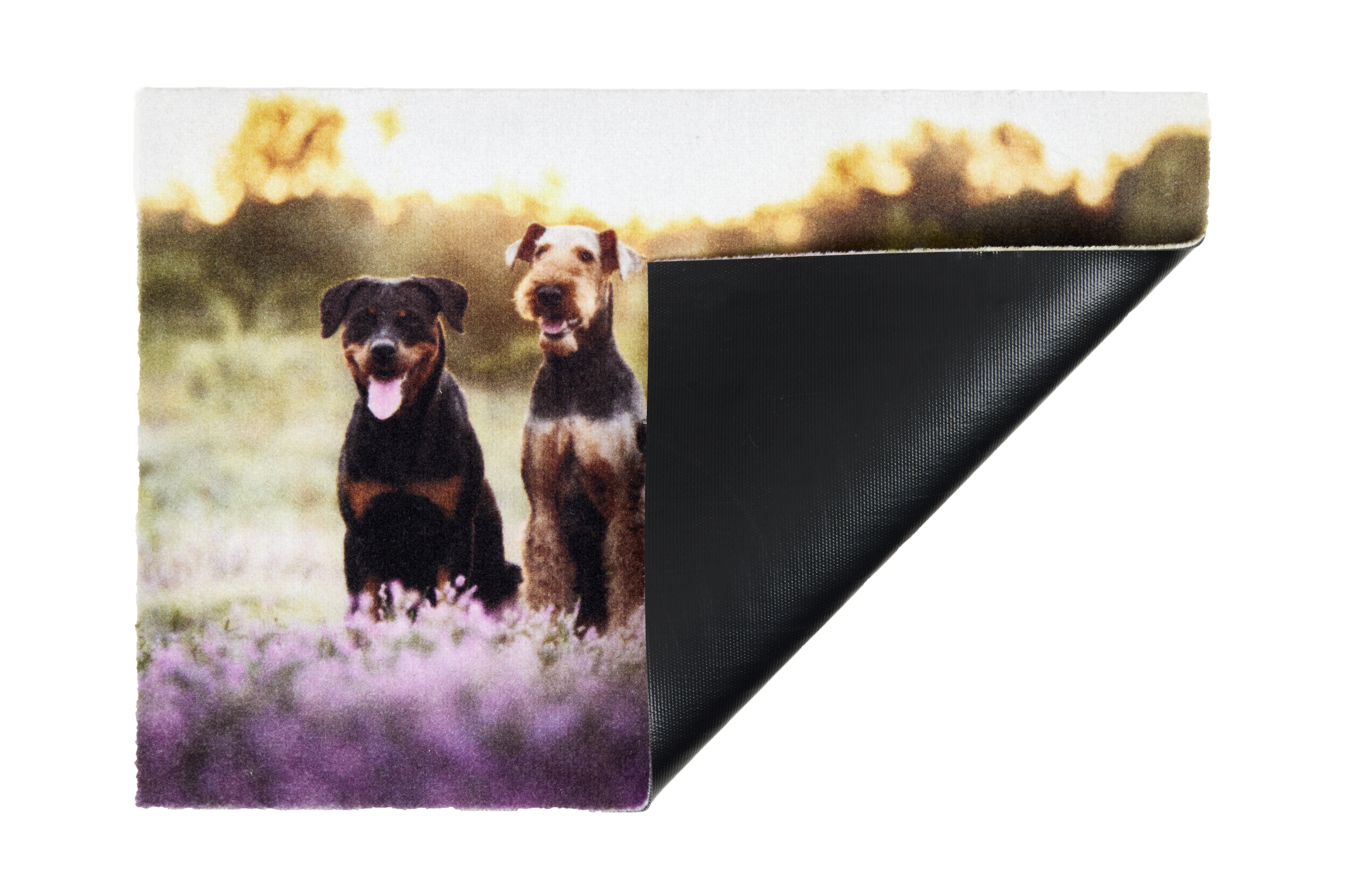 Astra Deco Print ca. 40x60cm D.107 C.999 Hunde