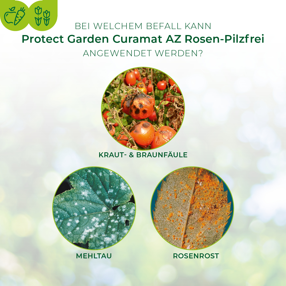 Protect Garden Curamat AZ Rosen-Pilzfrei 2 x 4 ml