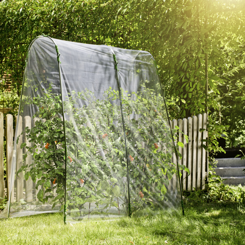 Windhager Tomaten-Folientunnel-Set, 27 x 200 x 210 cm