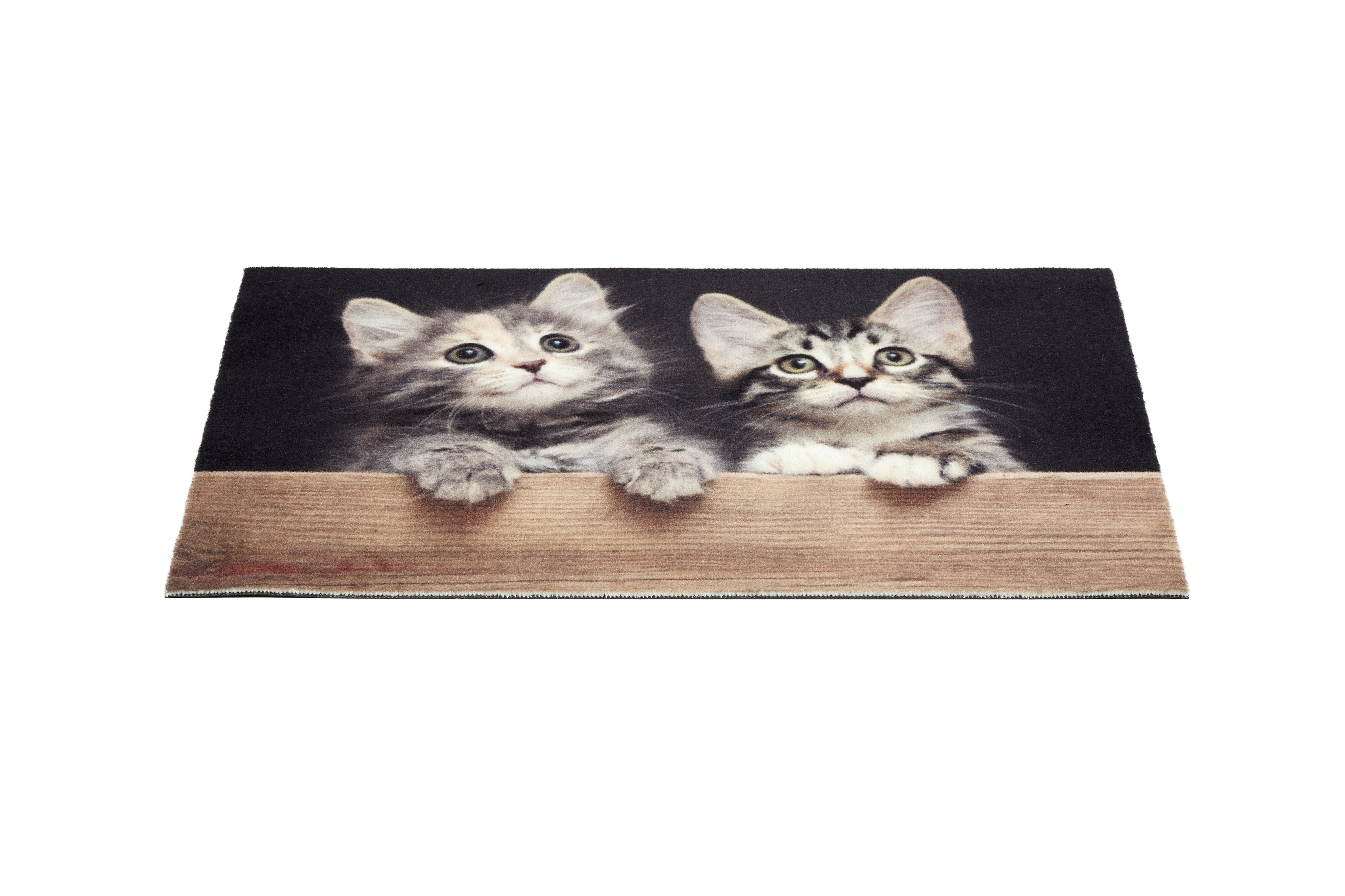 Astra Deco Print ca. 40x60cm D.108 C.999 Katzen Holz