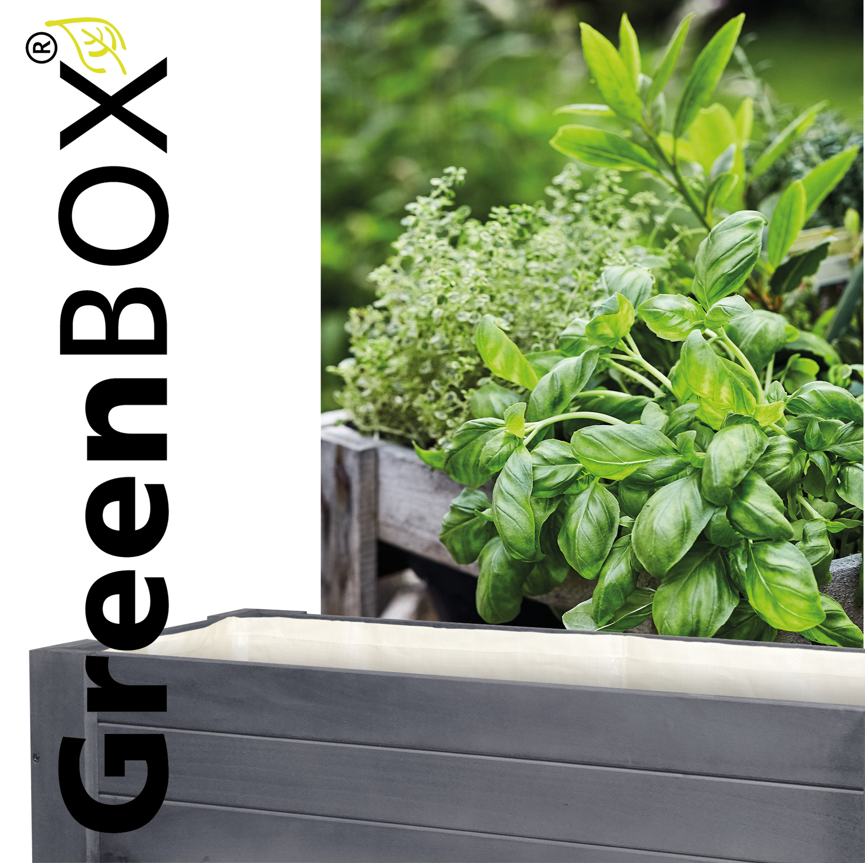 Wagner GreenBox light anthrazit, 830 x 345 x 700 mm, pappel