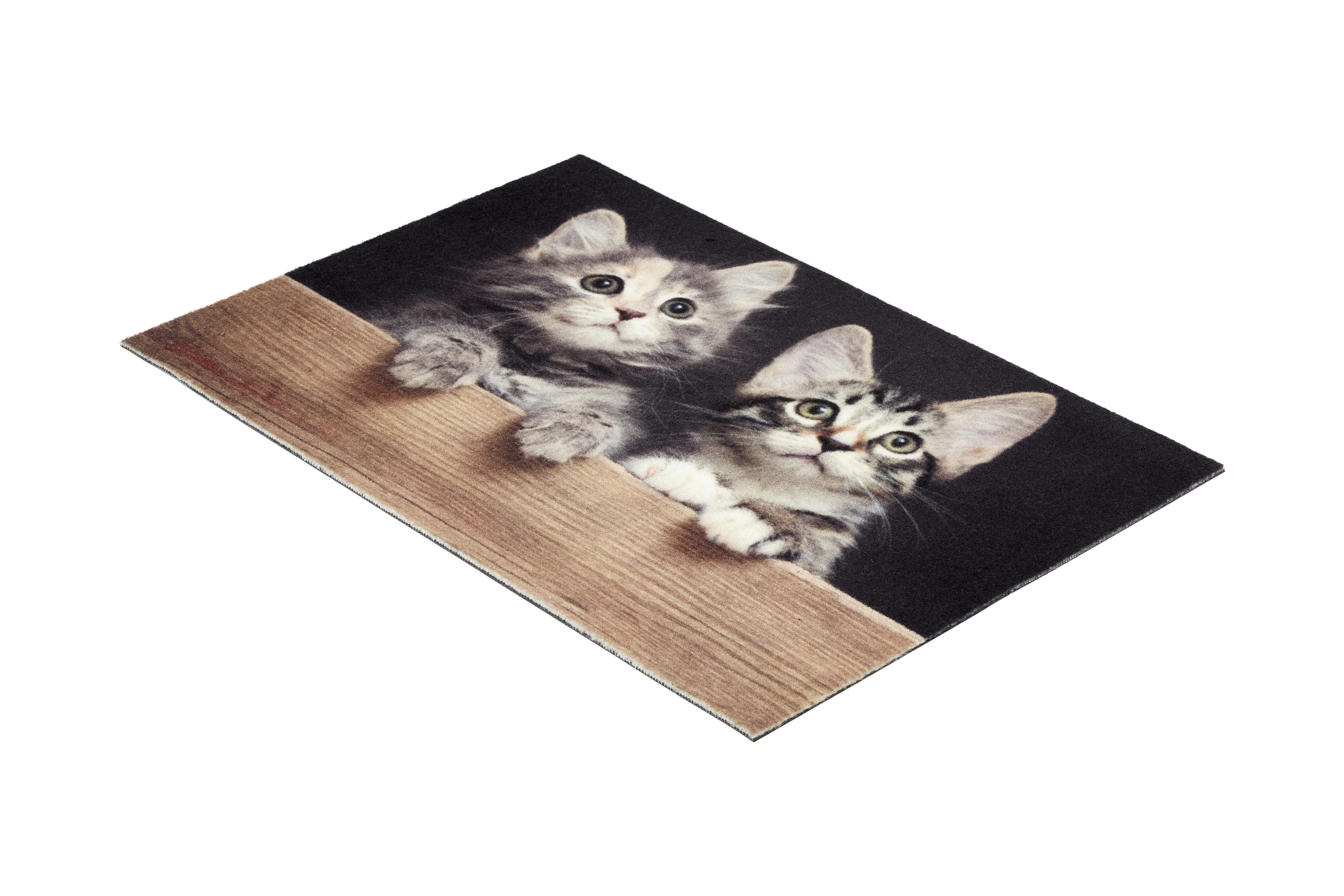 Astra Deco Print ca. 40x60cm D.108 C.999 Katzen Holz