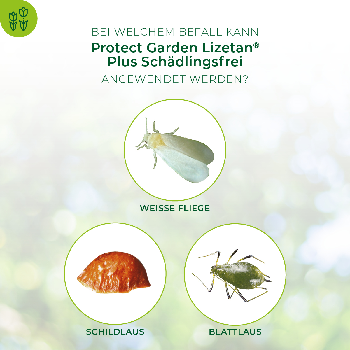 Protect Garden Lizetan Plus Schädlingsfrei, 50 ml