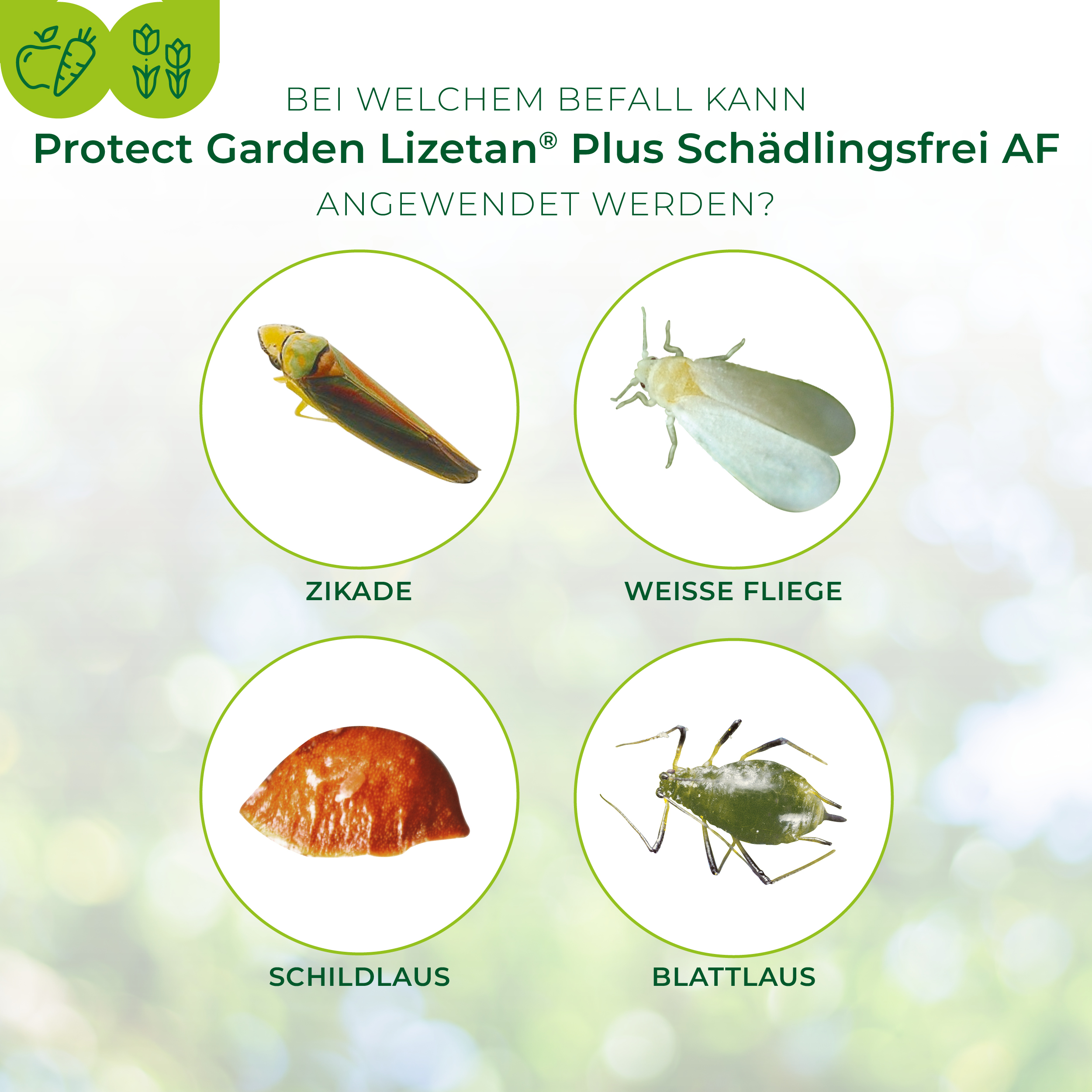 Protect Garden Lizetan Plus Schädlingsfrei AF 3 l