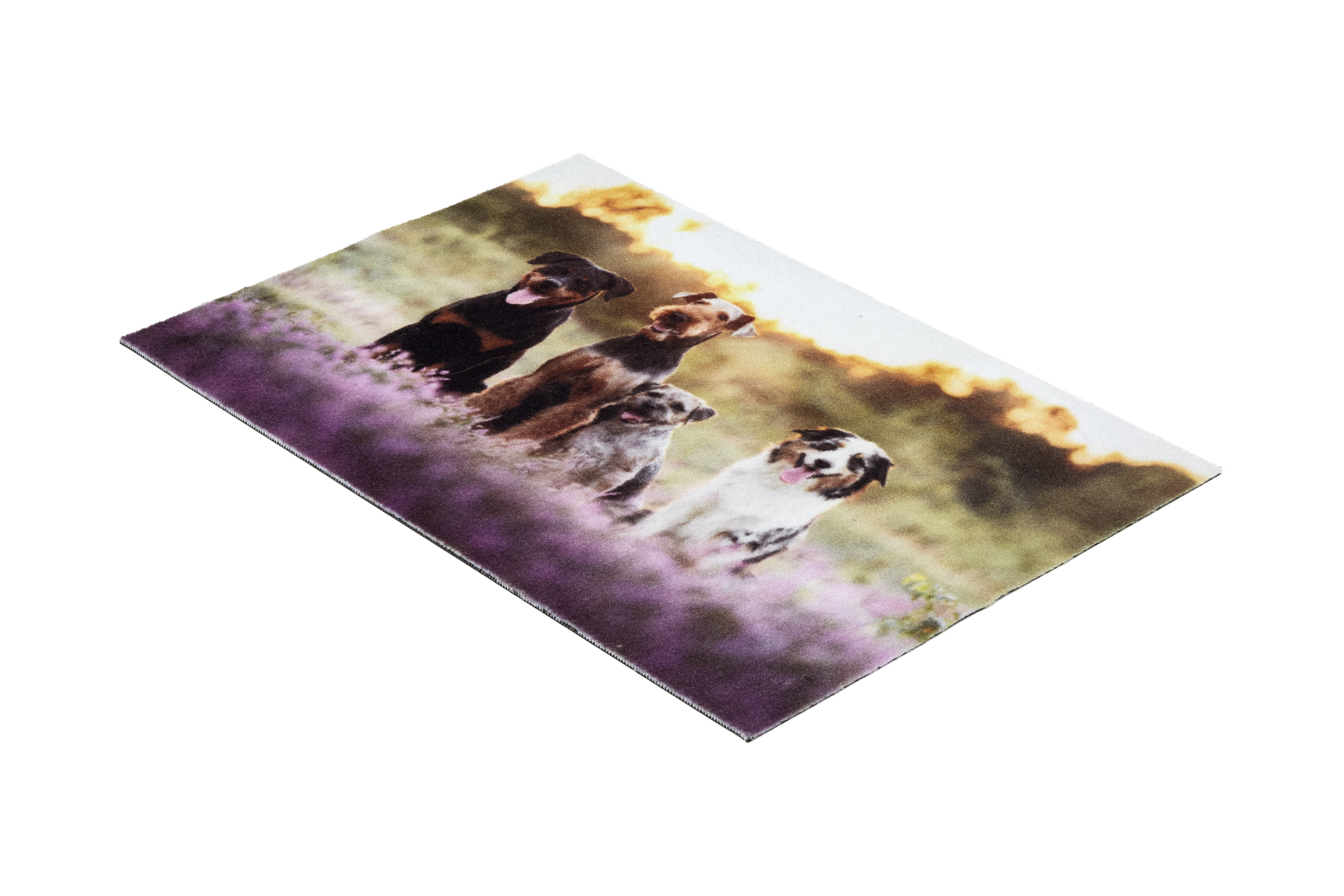 Astra Deco Print ca. 40x60cm D.107 C.999 Hunde