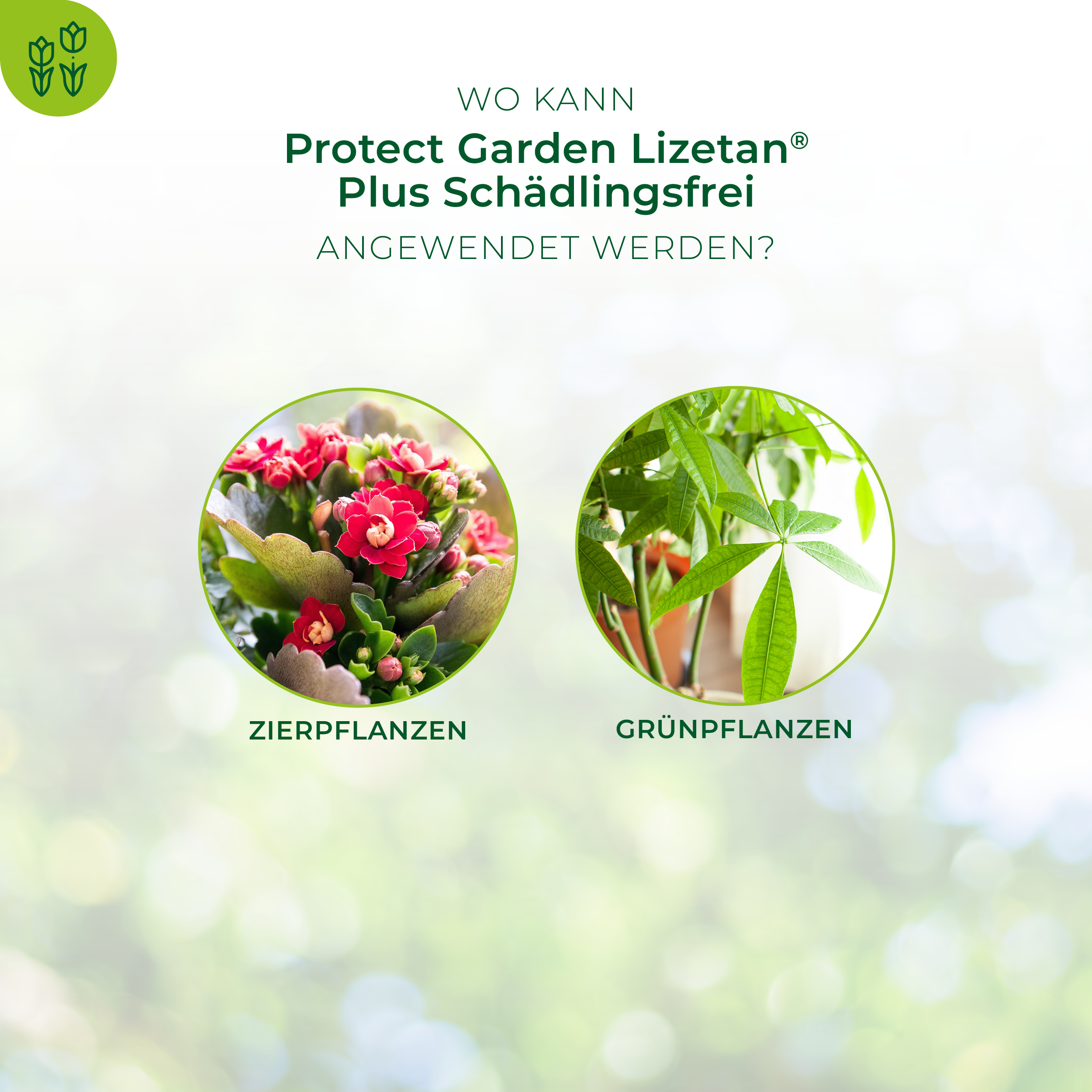 Protect Garden Lizetan Plus Schädlingsfrei, 50 ml